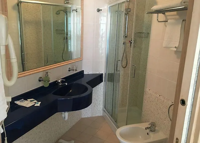 ホテル Excelsior 3*